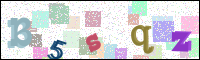 Image Verification