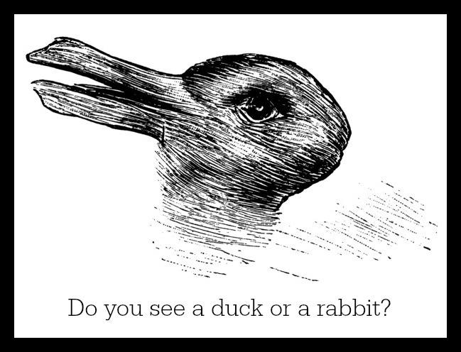 Rabbits and Ducks